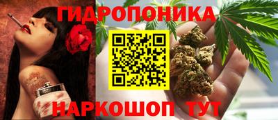 МДПВ Партизанск