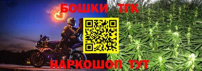 МДПВ Партизанск