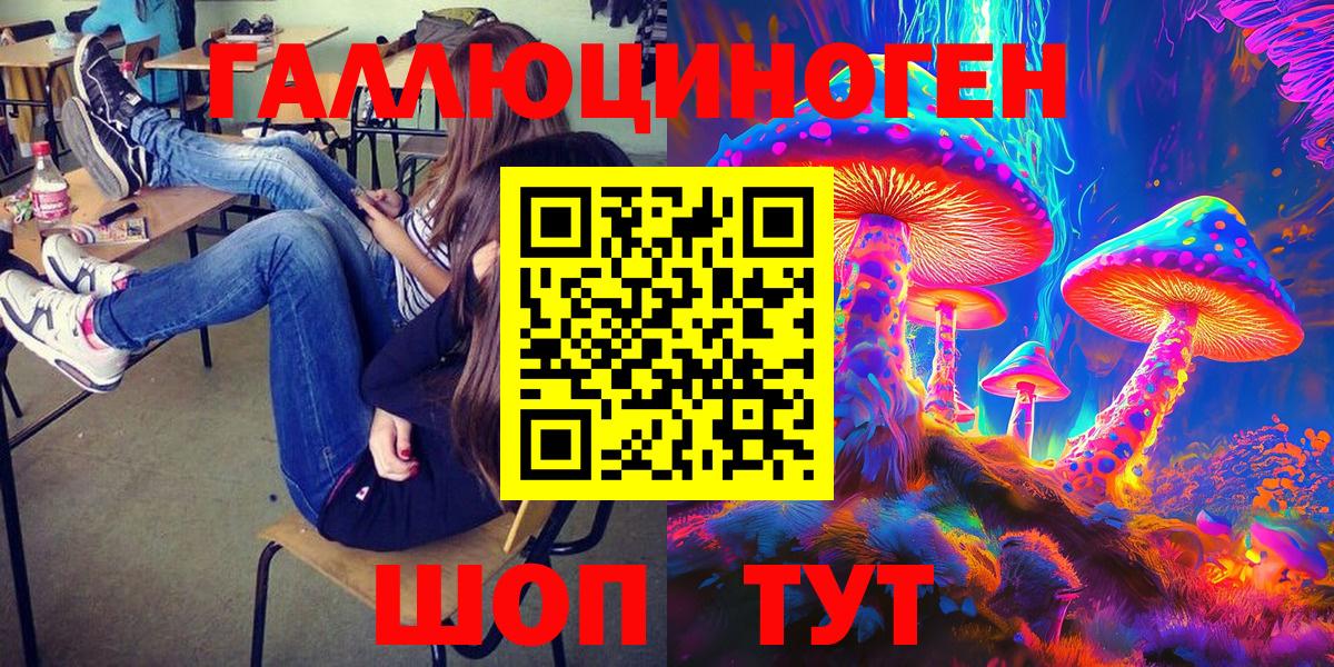 Псилоцибиновые грибы Psilocybine cubensis  Вход с VPN  Протвино 