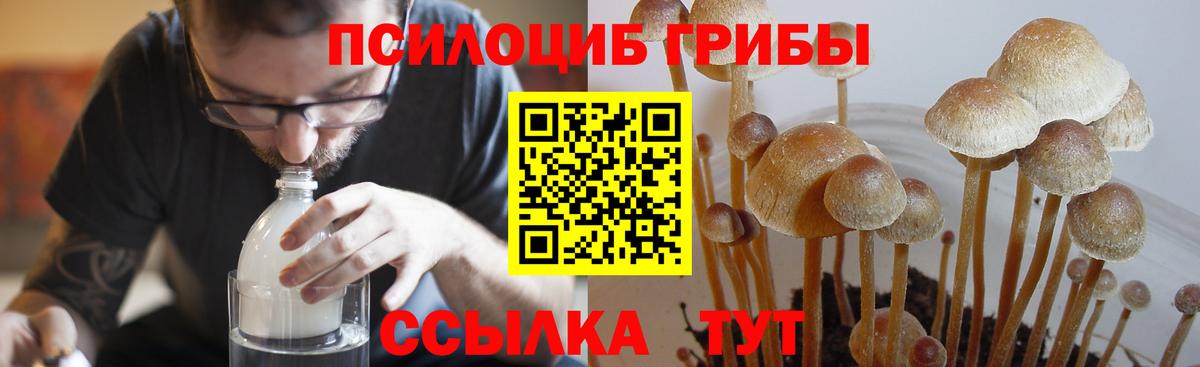 Галлюциногенные грибы GOLDEN TEACHER Протвино